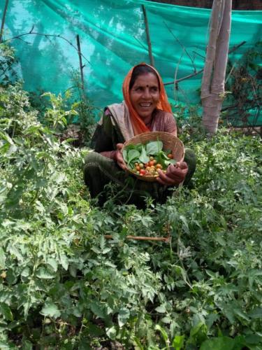 Nutrition garden promotion to ensure food availability
